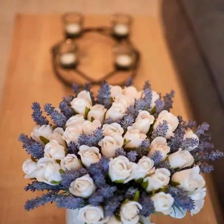 Alezzi Eda S Apartment *